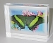 Lucite Embedment