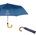 Automatic Deluxe Mini Umbrella 