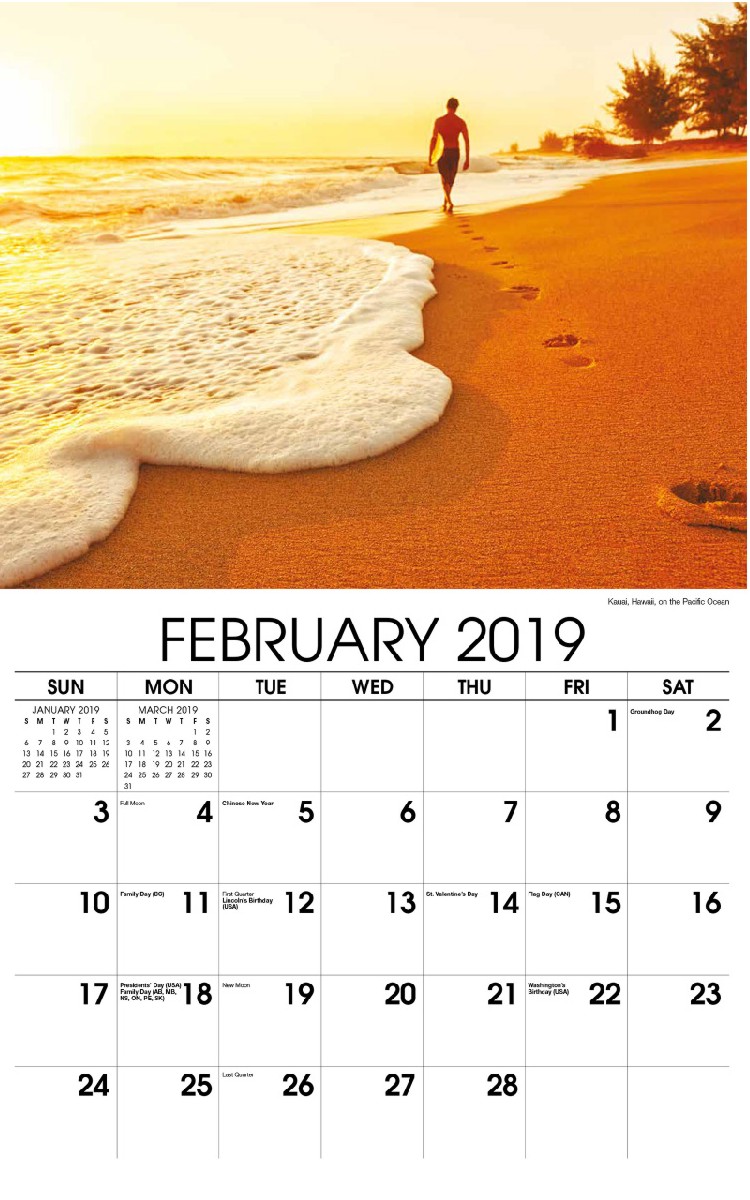 Sun, Sand and Surf Wall Calendar - February