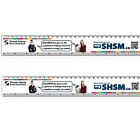 Custom Plastic Ruler