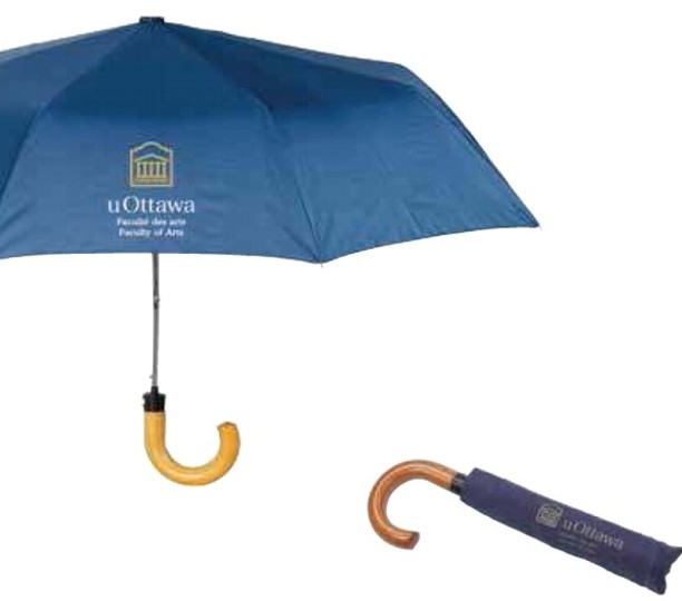Automatic Deluxe Mini Umbrella