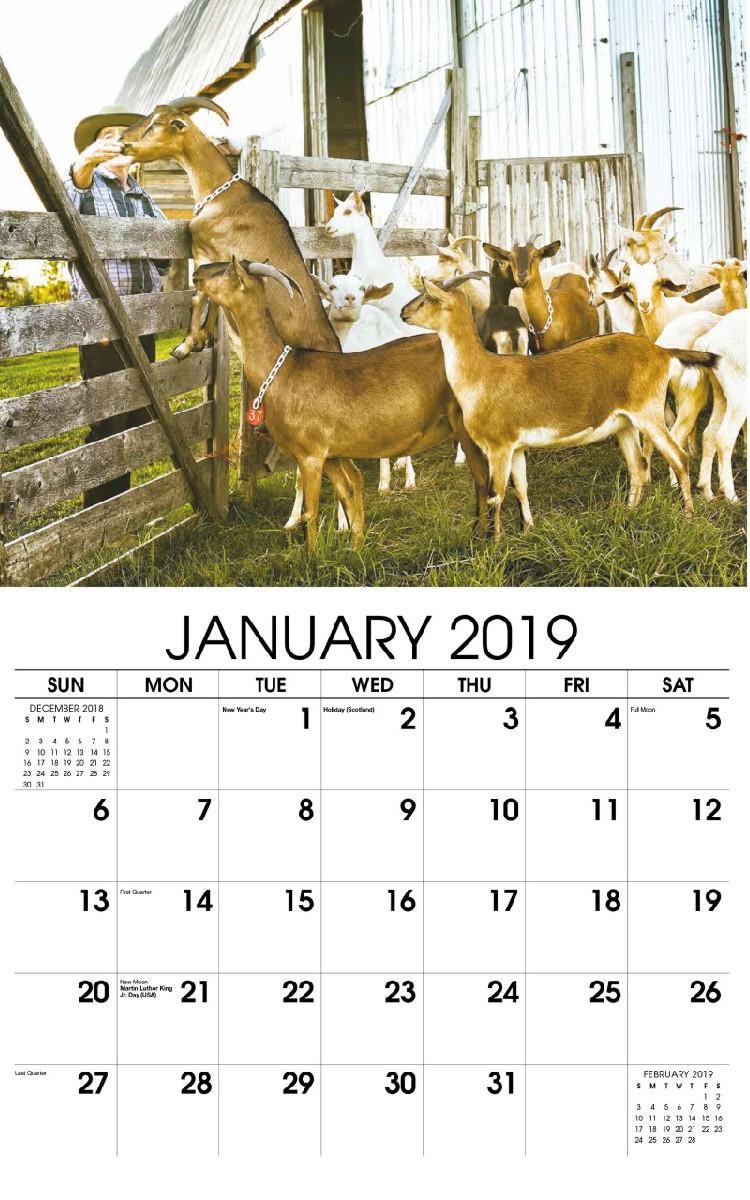 Country Spirit - January