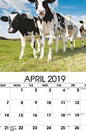 Country Spirit Apr.