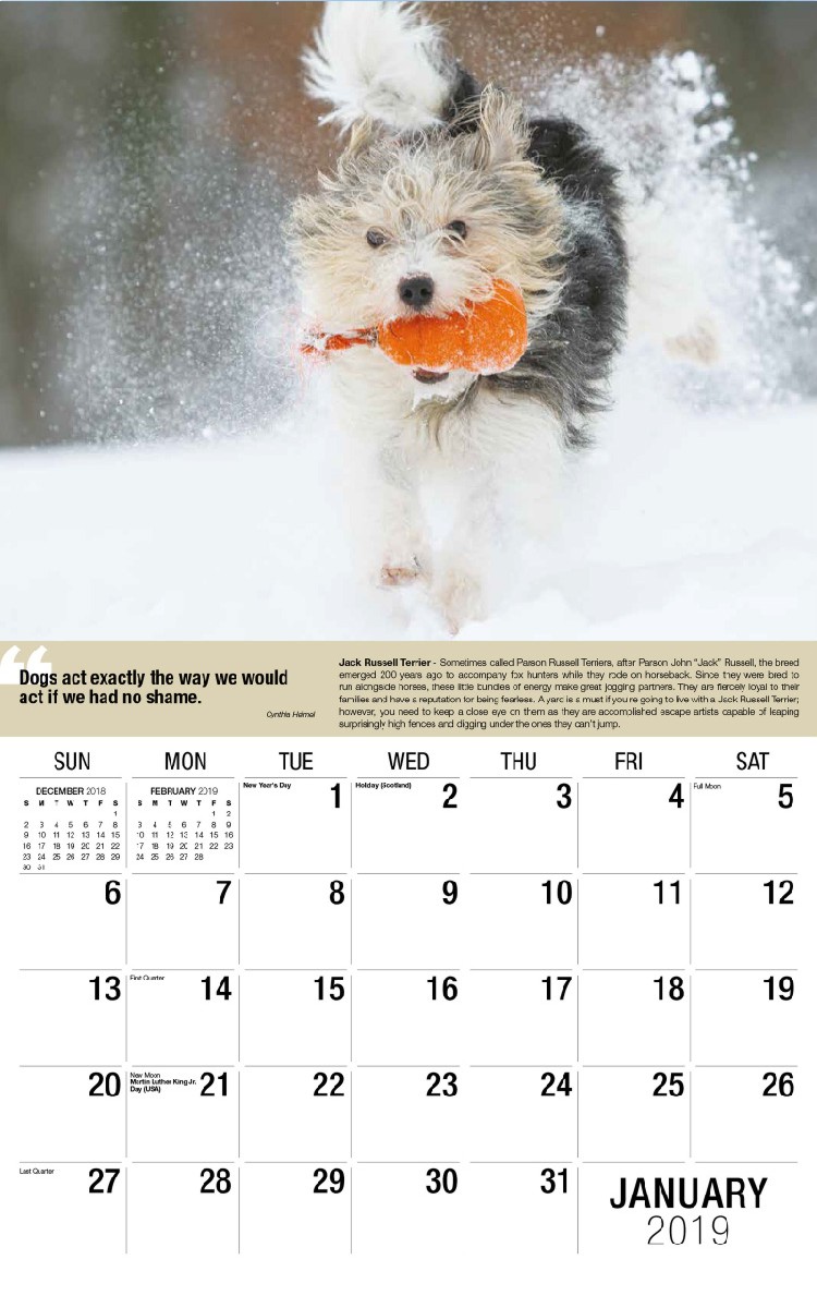 Dogs Calendar - January