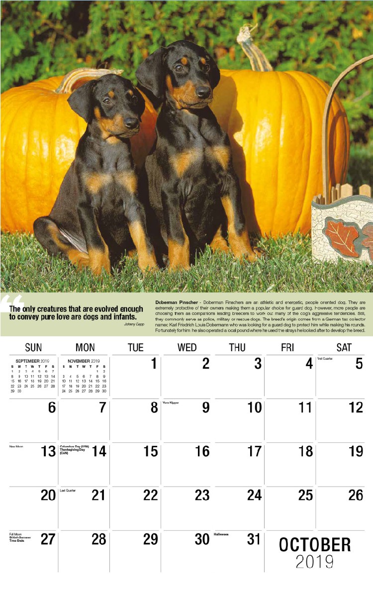 Dogs Calendar - October