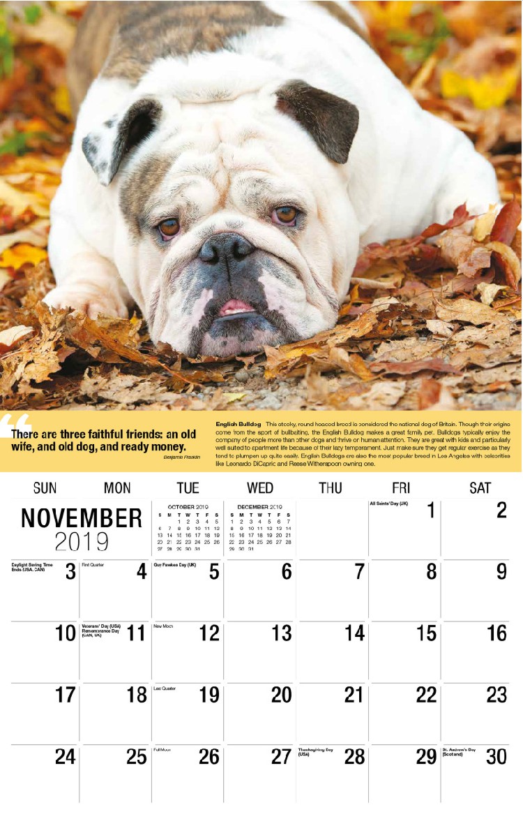 Dogs Calendar - November