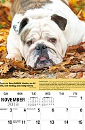 Dogs Nov.