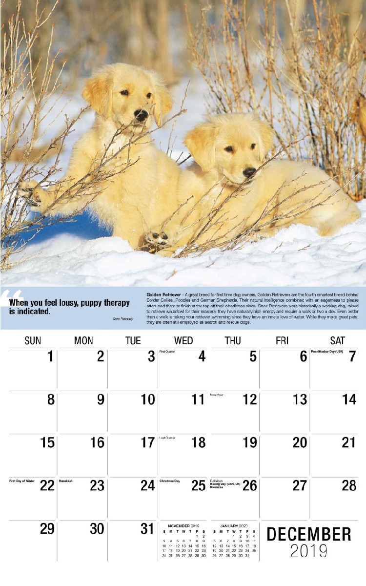 Dogs Calendar - December