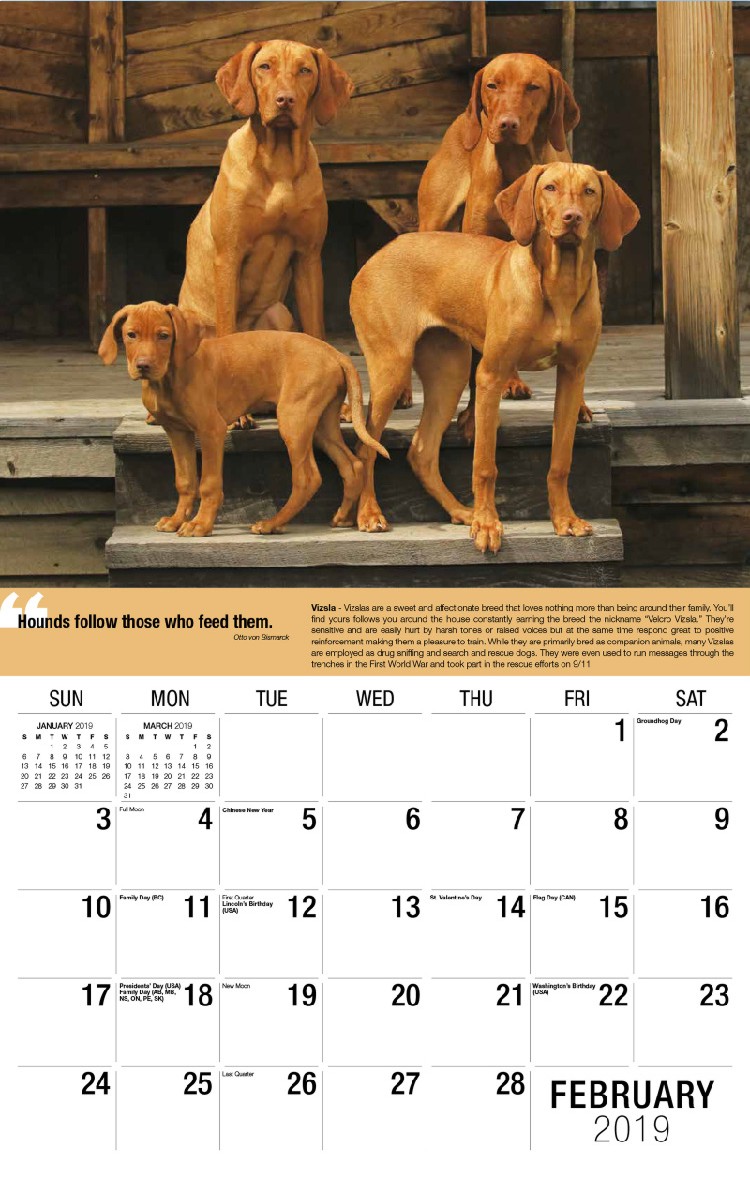 Dogs Calendar - February