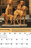 Dogs Feb.