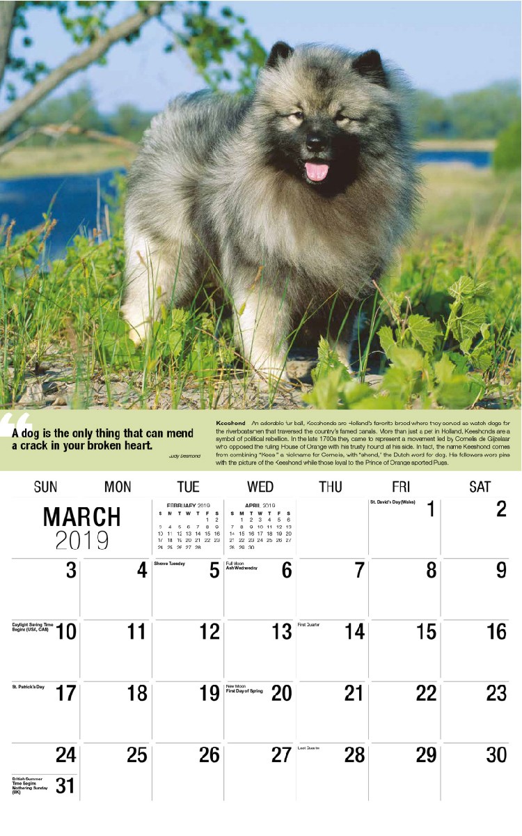 Dogs Calendar - March