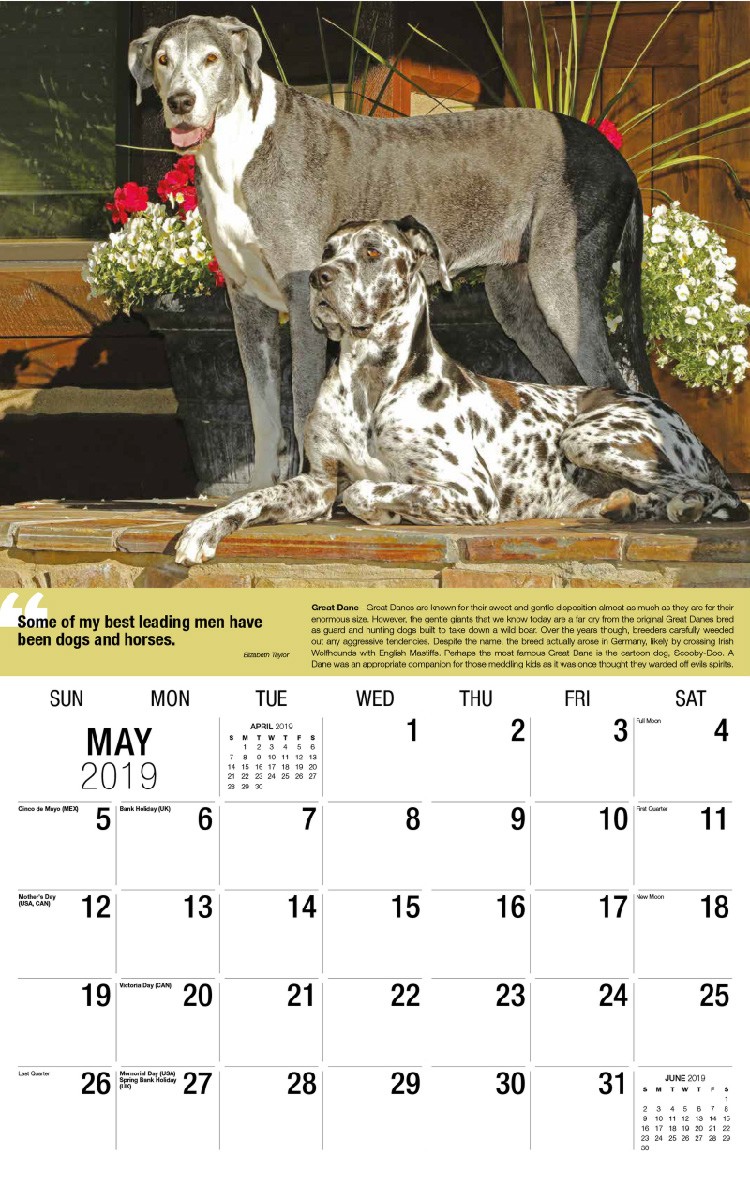 Dogs Calendar - May