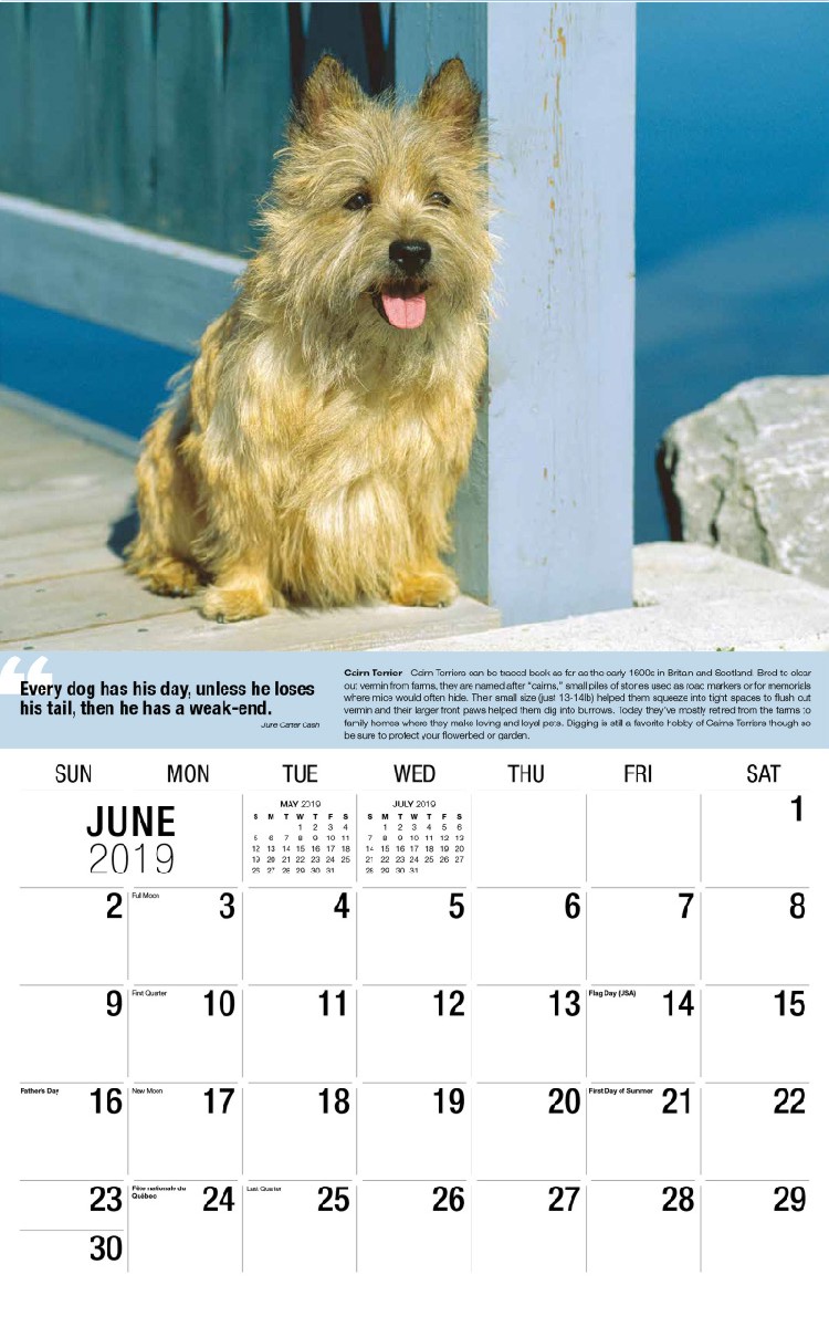 Dogs Calendar - June