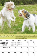 Dogs Aug.