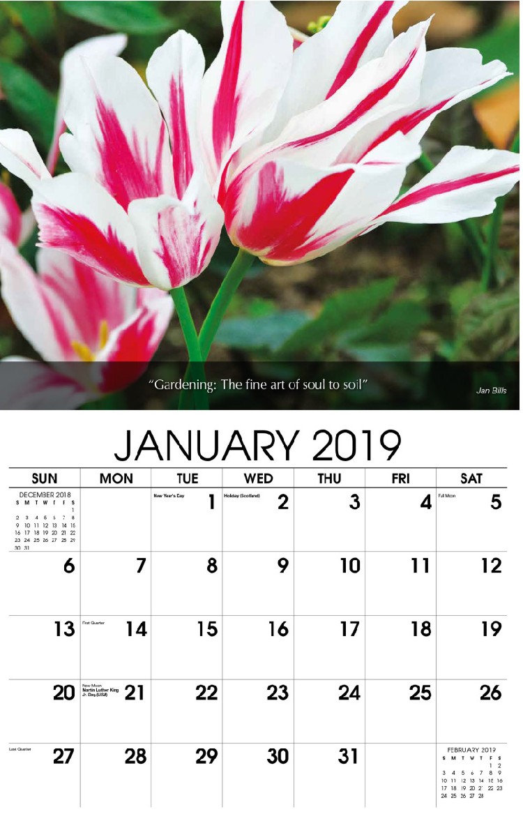 Flowers & Gardens Calendar - January