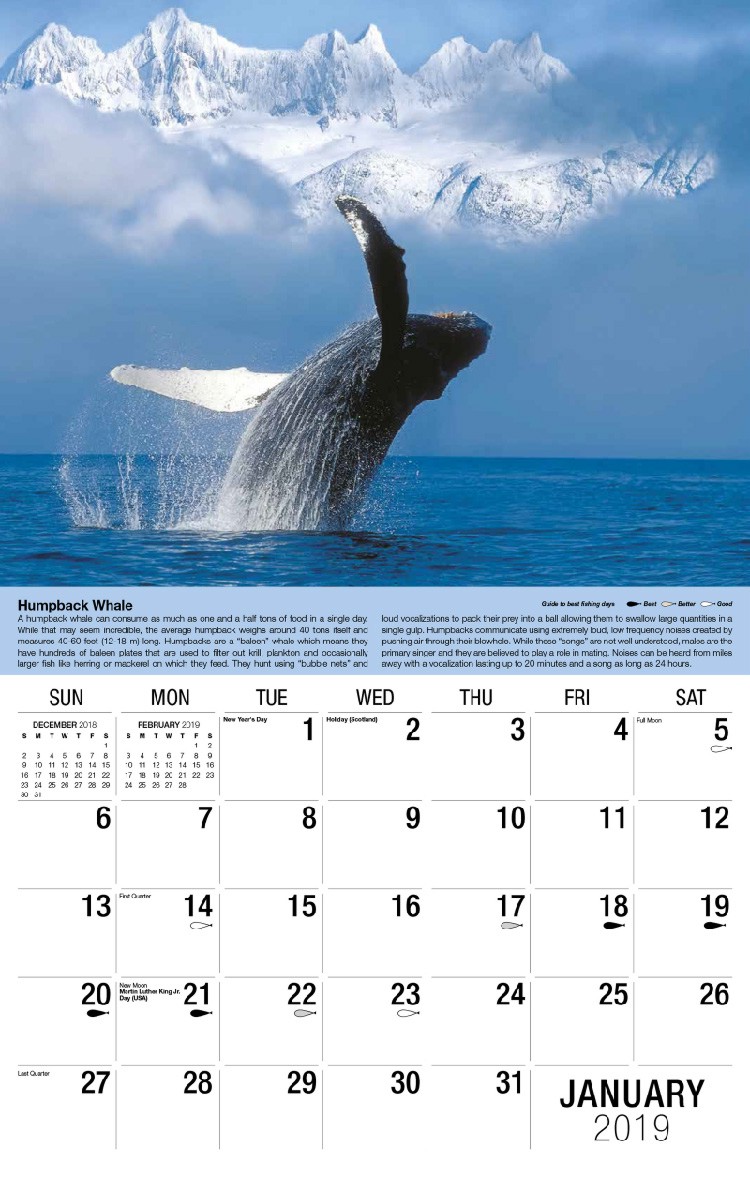 North American Wildlife Calendar - January