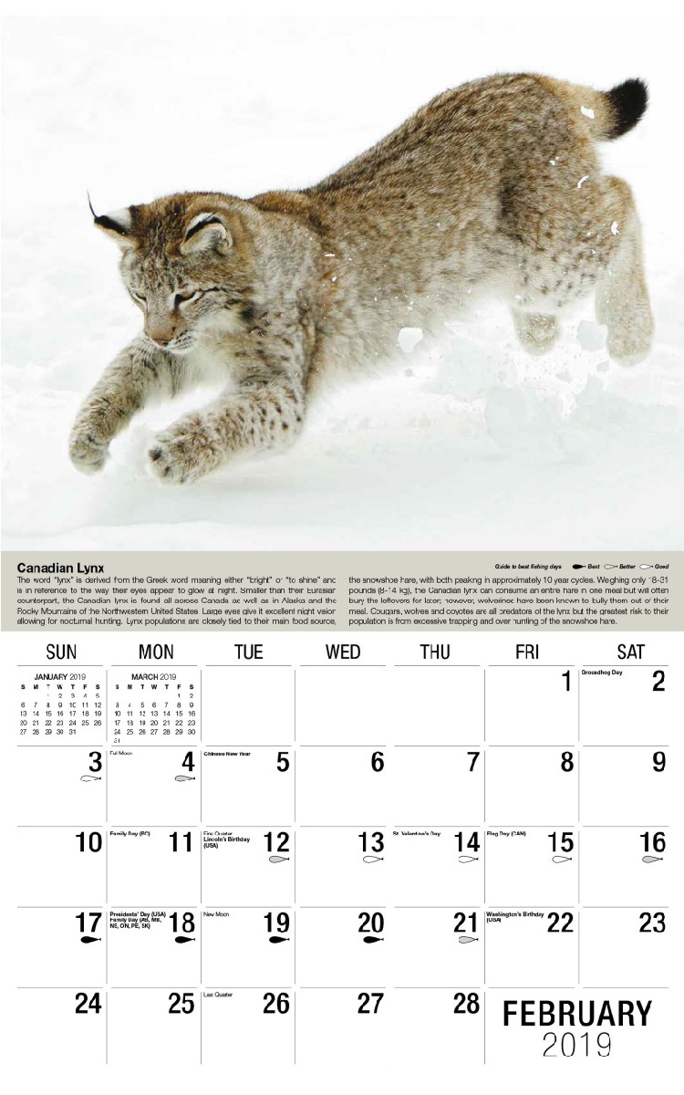 North American Wildlife Calendar - February