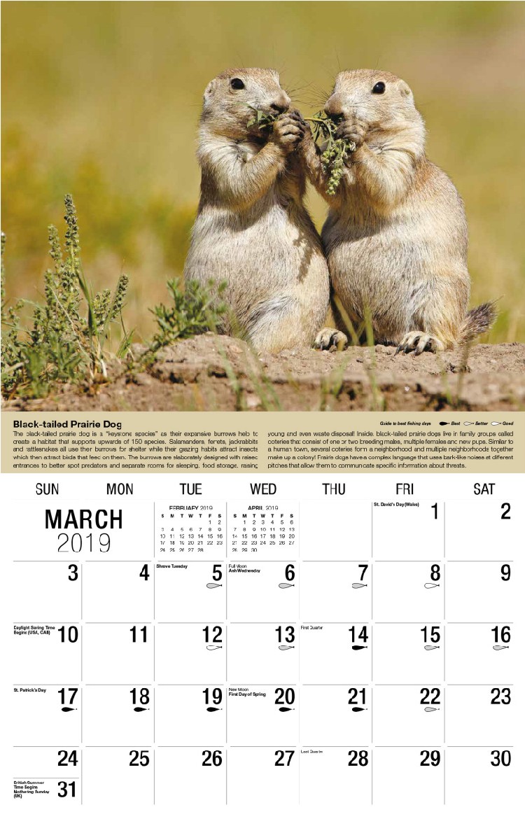 North American Wildlife Calendar - March