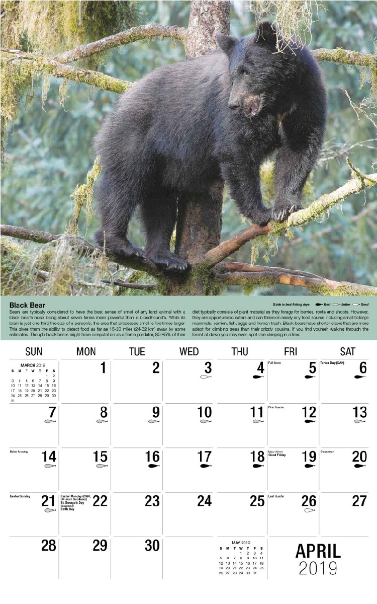 North American Wildlife Calendar - April