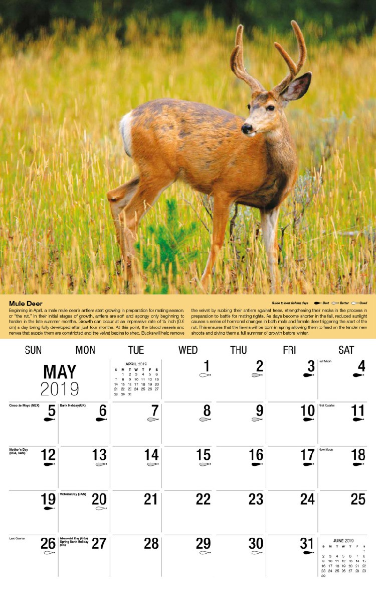 North American Wildlife Calendar - May