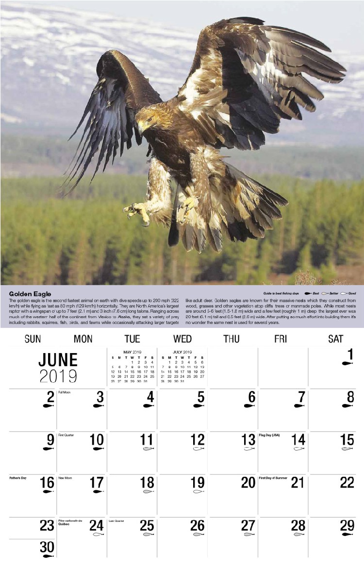 North American Wildlife Calendar - June