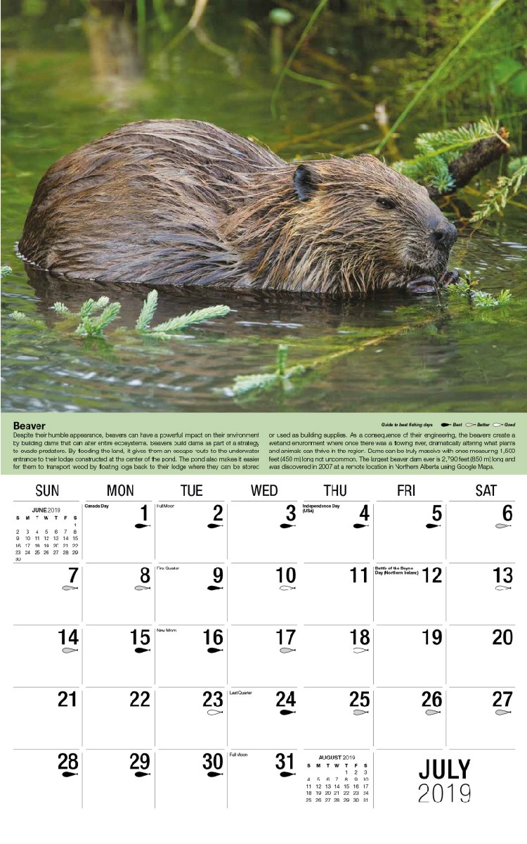 North American Wildlife Calendar - July