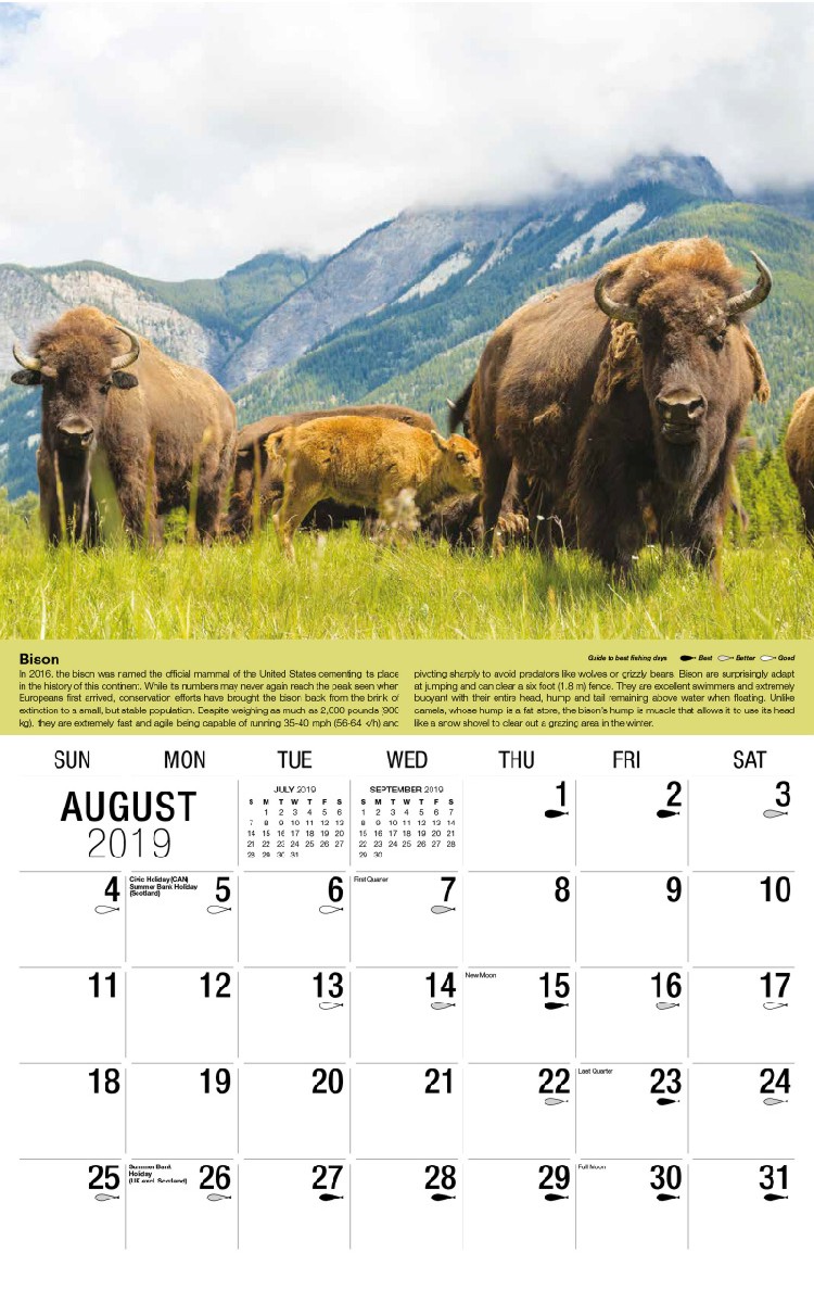 North American Wildlife Calendar - August