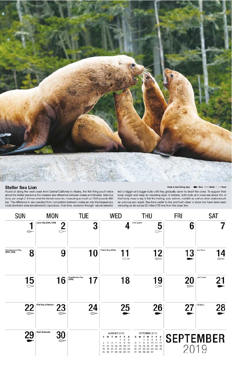 North American Wildlife Calendar - September