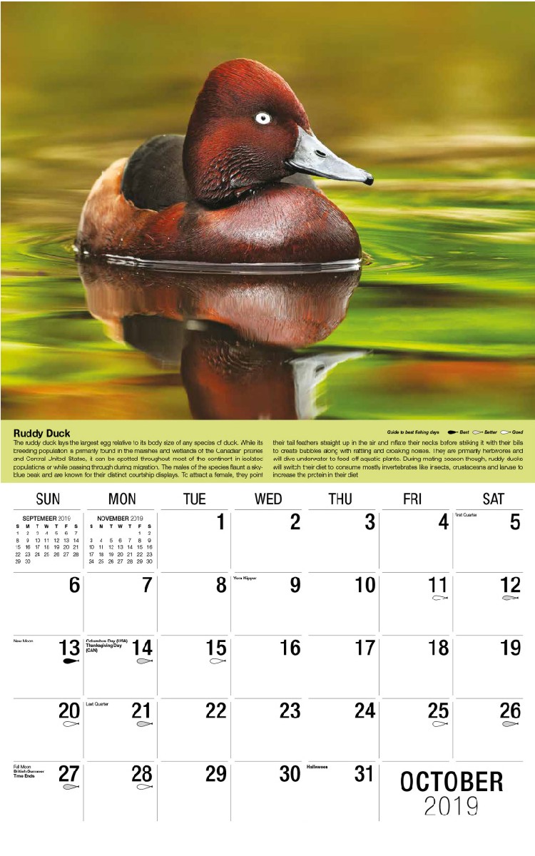 North American Wildlife Calendar - October