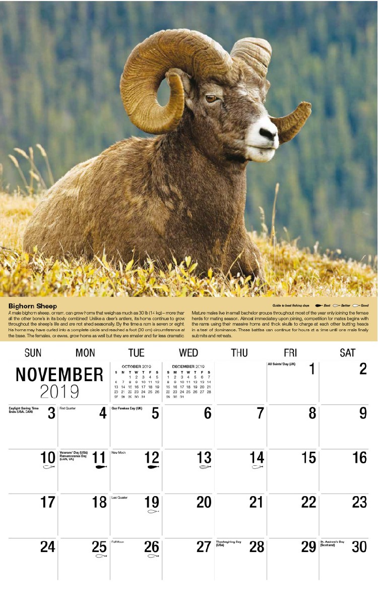 North American Wildlife Calendar - November