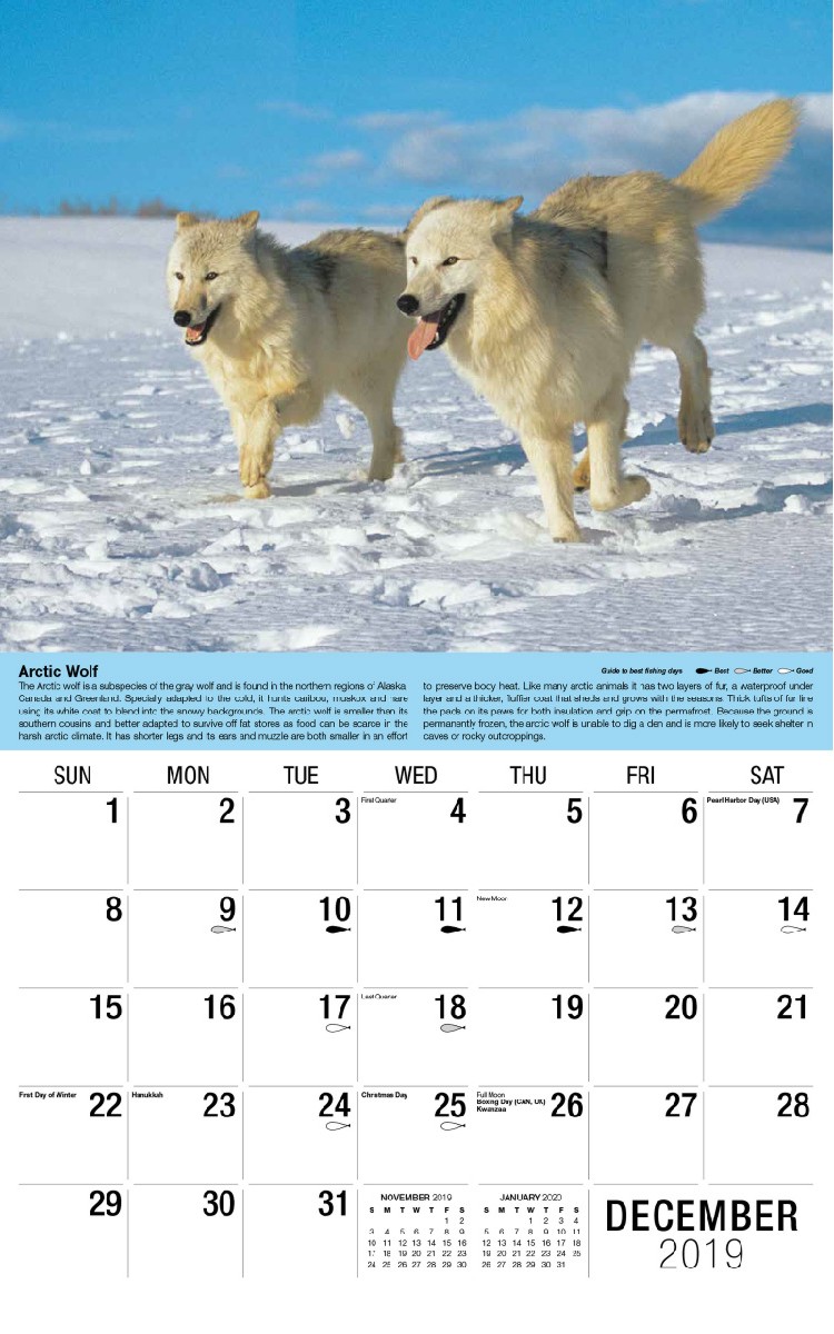 North American Wildlife Calendar - December