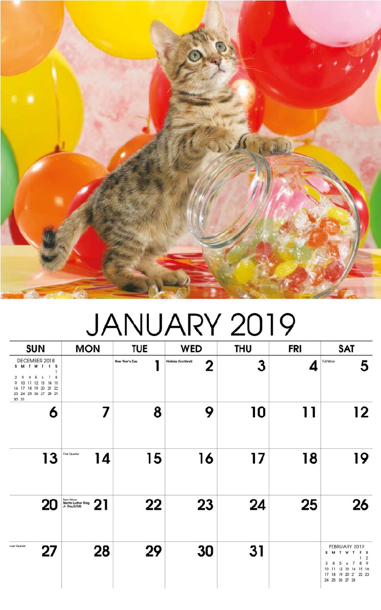 Kittens Wall Calendar - January