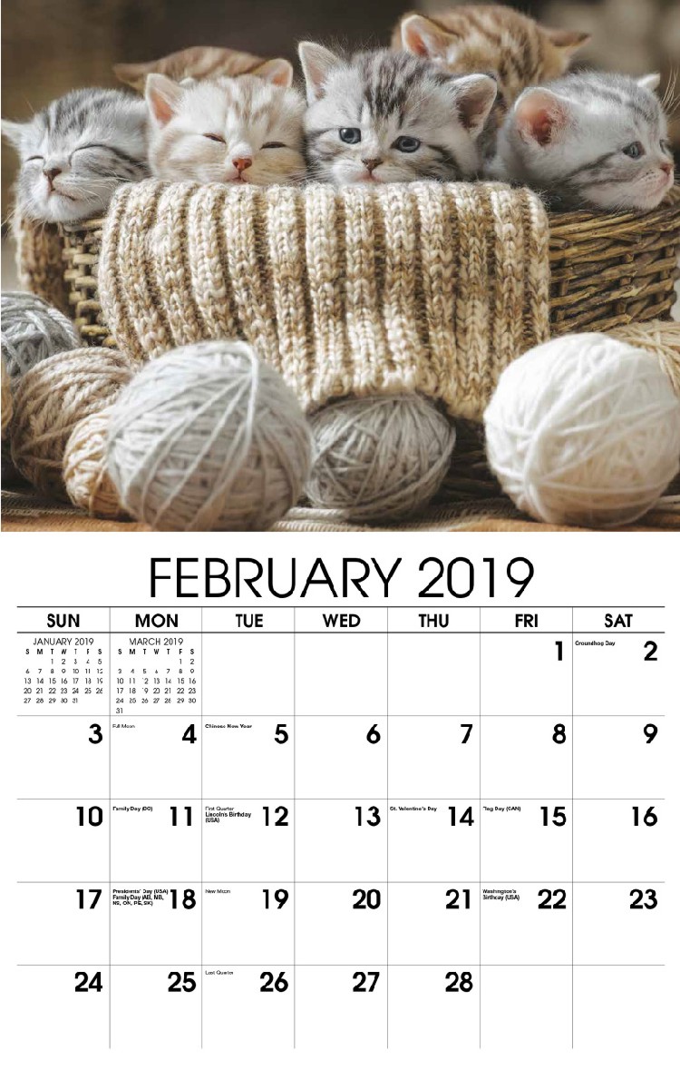 Kittens Wall Calendar - February