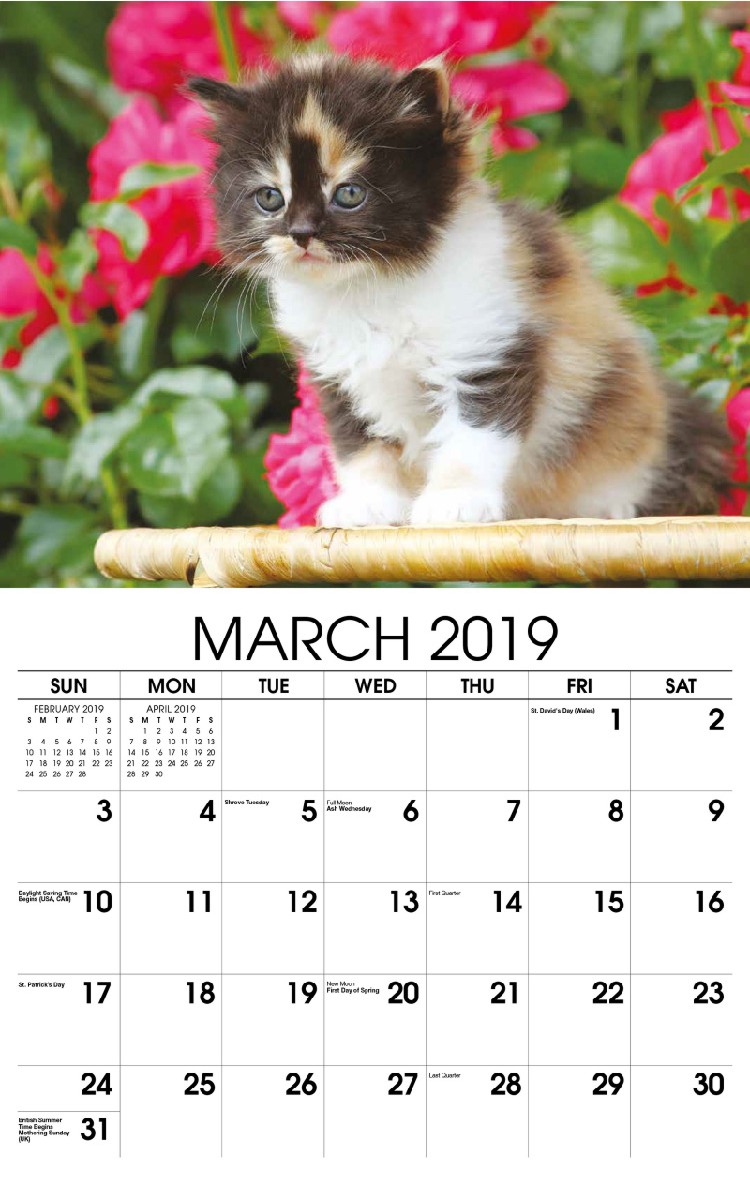 Kittens Wall Calendar - March