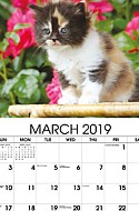 Kittens Mar.