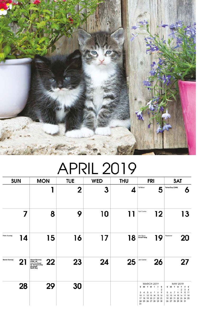 Kittens Wall Calendar - April