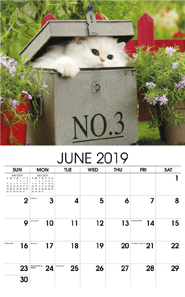 Kittens Wall Calendar - June