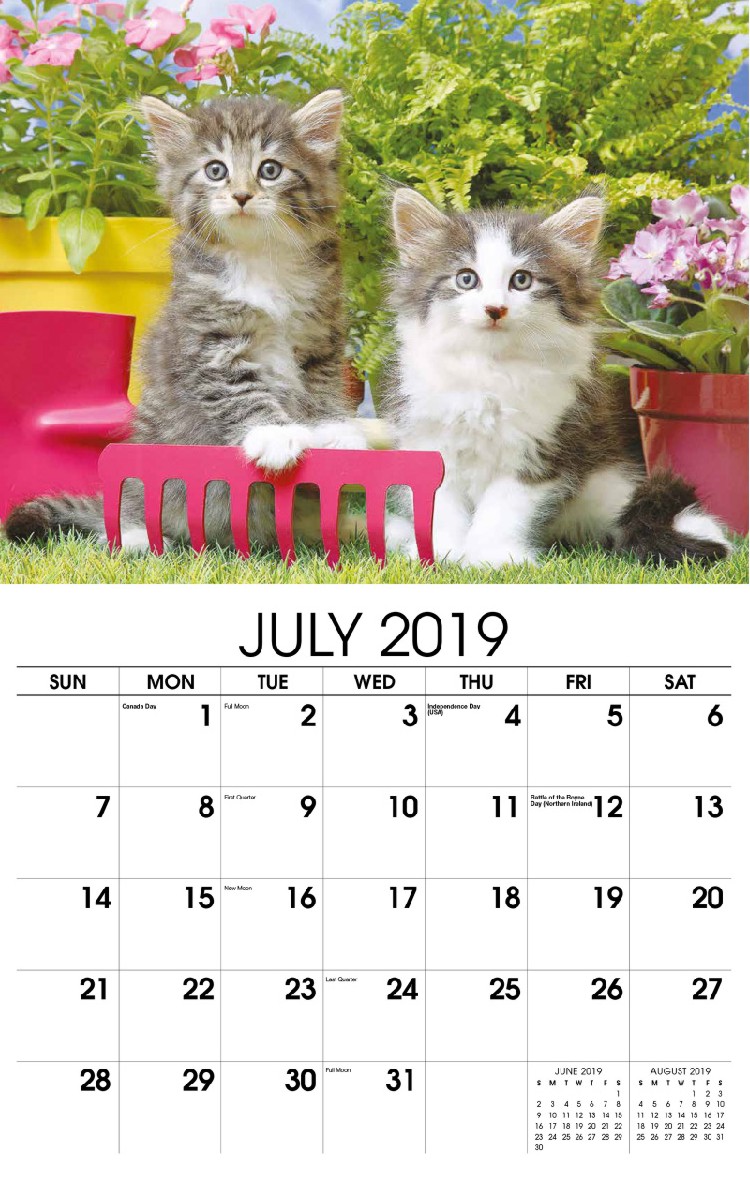 Kittens Wall Calendar - July