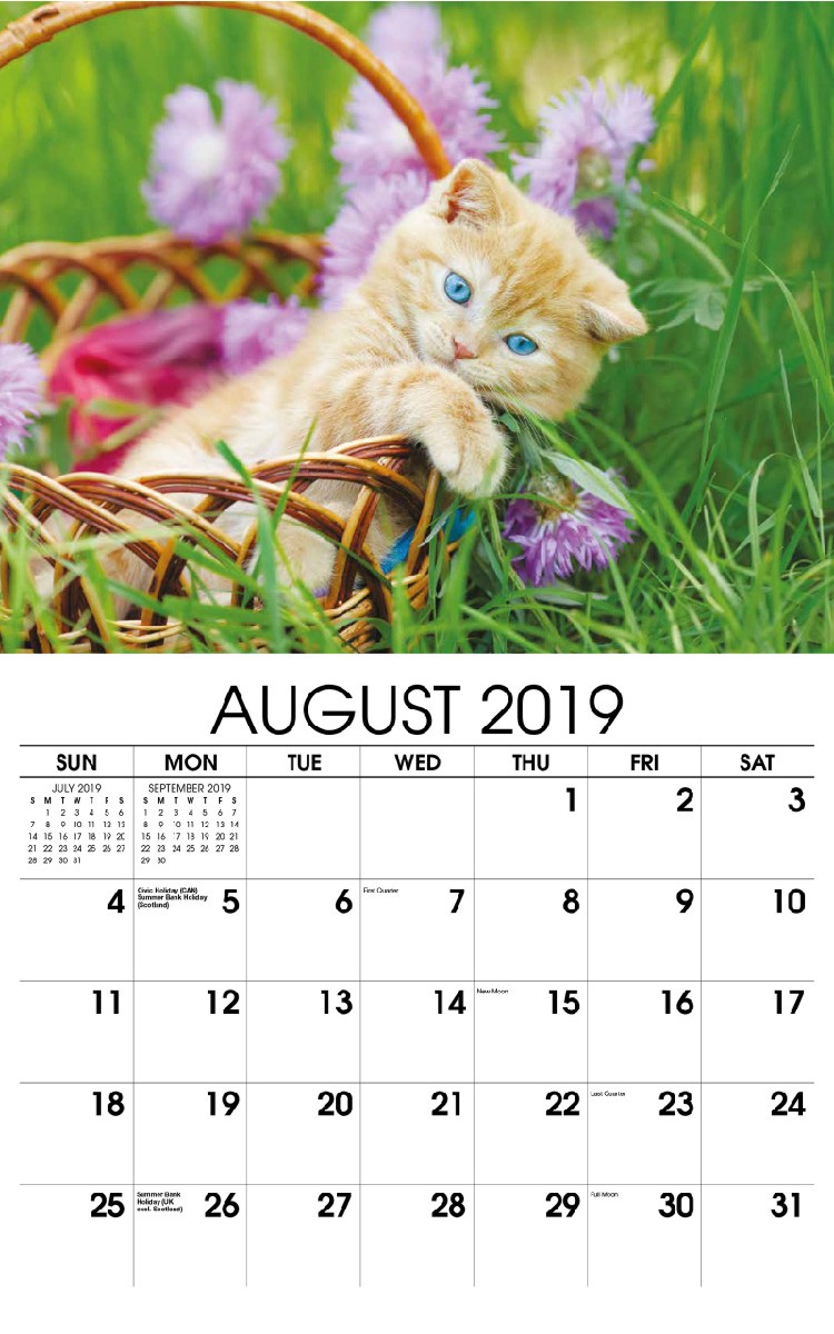 Kittens Wall Calendar - August
