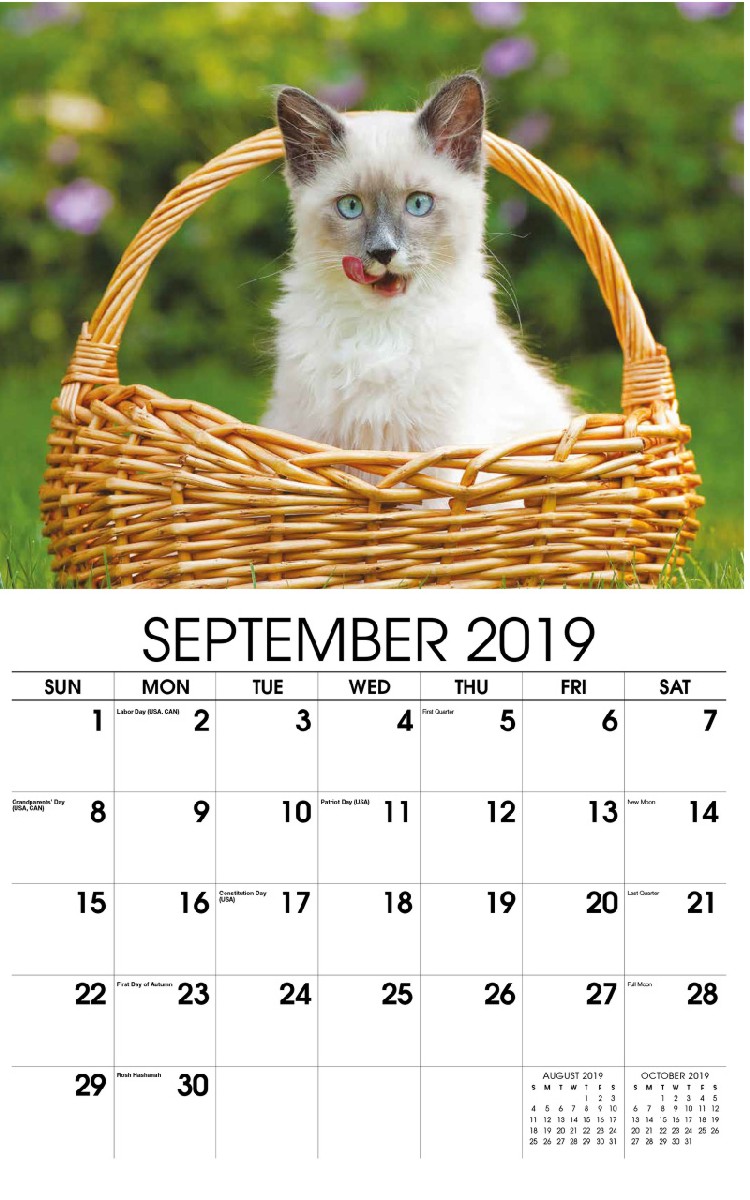 Kittens Wall Calendar - September