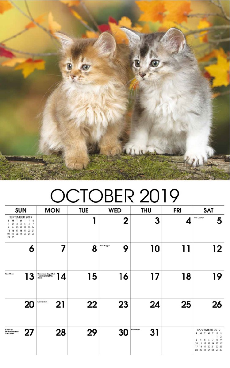 Kittens Wall Calendar - October