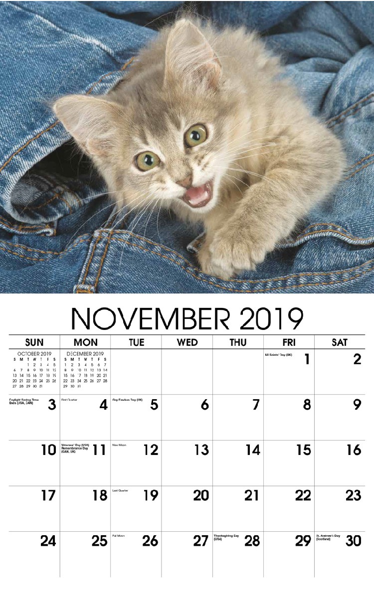 Kittens Wall Calendar - November