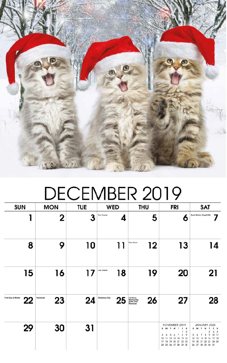 Kittens Wall Calendar - December