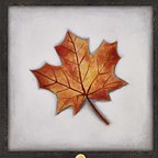 9929593-G - Art Print "Red Maple Leaf"