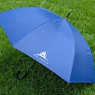 Executive Umbrella: 54 Art With Curved Handle