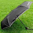 Folding Umbrella: 42 Arc With Silver Trim