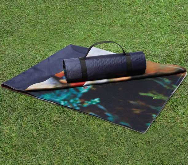 Epicolor Tek Explorer Picnic Blanket