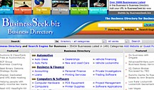 Business Seek Web Page