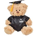 Graduation Bear w/Gown and Cap - SZ-67550