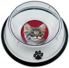 3745 - Small Pet Bowl